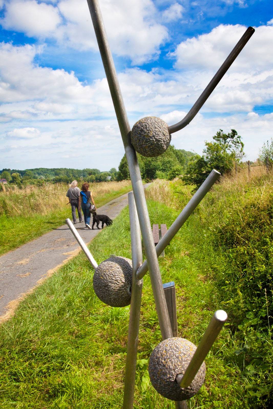 Sentier des plantes médicinales