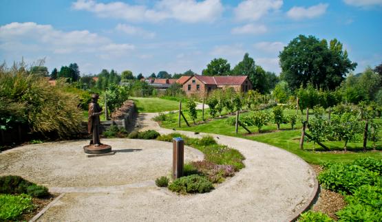 jardin des plantes médicinales