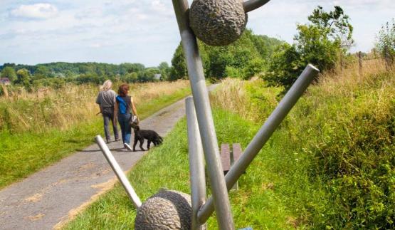 Sentier des plantes médicinales